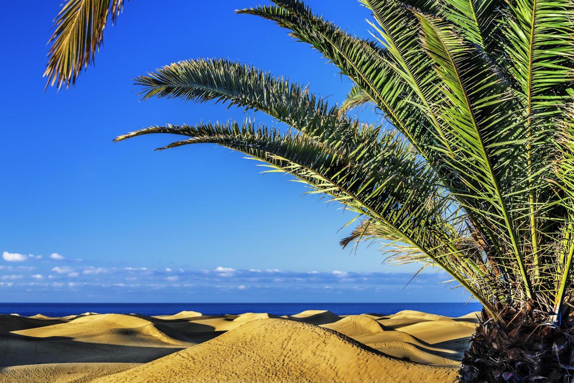 Vespucio Canteras By Canariasgetaway Las Palmas de Gran Canaria